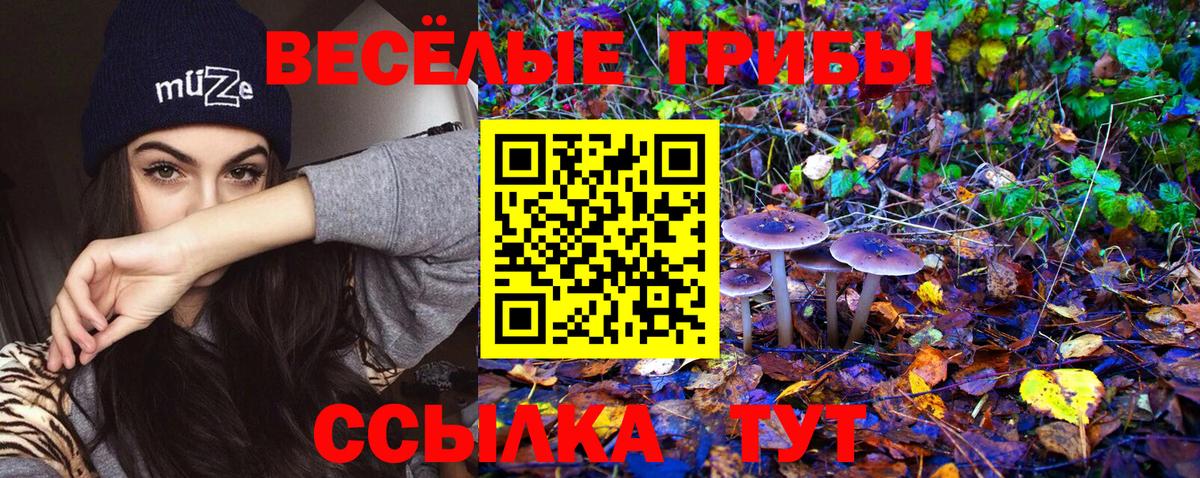 Великий Устюг  Галлюциногенные грибы ЛСД  Вход с VPN  Псилоцибиновые грибы GOLDEN TEACHER 