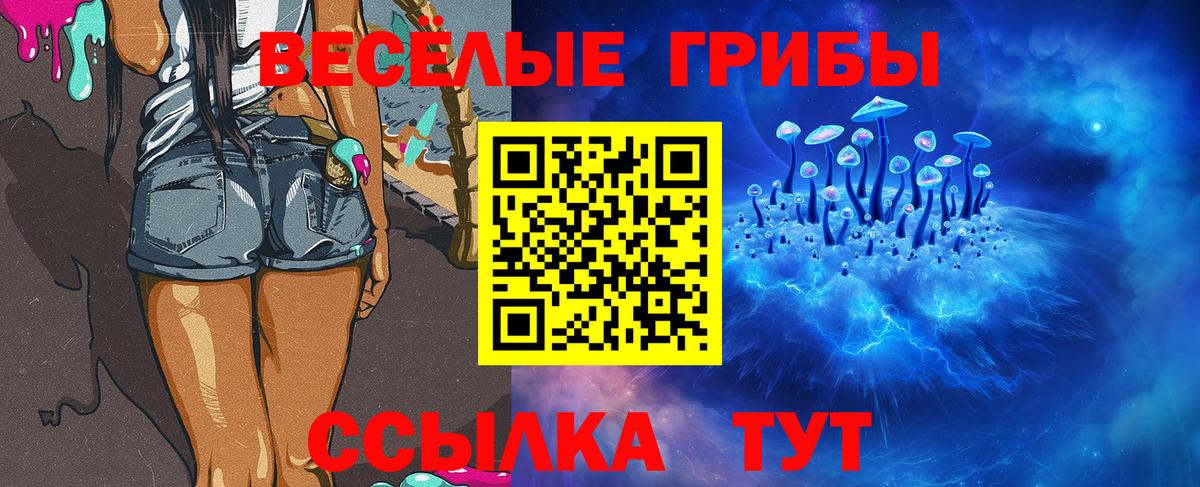 Галлюциногенные грибы Psilocybine cubensis Великий Устюг